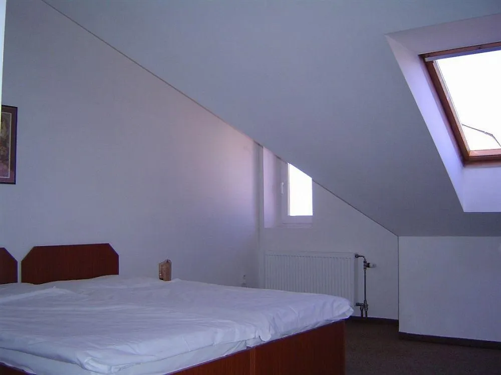 פראג Hotel U Sladku 3*,